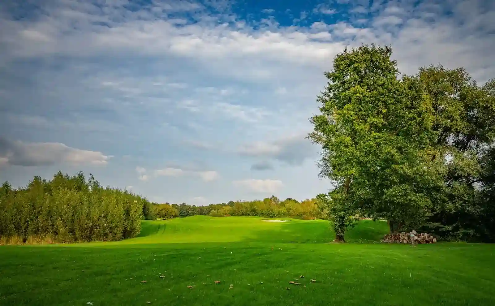 Gulmarg golf course